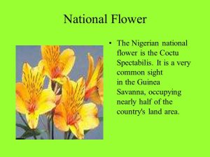 Nigeria National flower