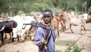 The Nexus between Climate Change and Herdsmen Crisis in Nigeria