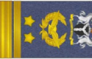 Air Vice Marshal