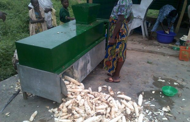 Top 15 NPK Fertilizers for Cassava in Nigeria