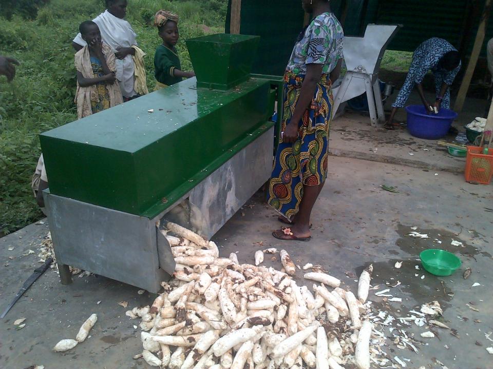 Top 15 NPK Fertilizers for Cassava in Nigeria