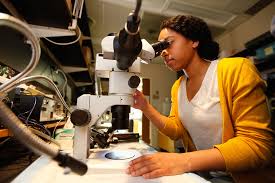 15 places to work with a Biology degree in Nigeria
