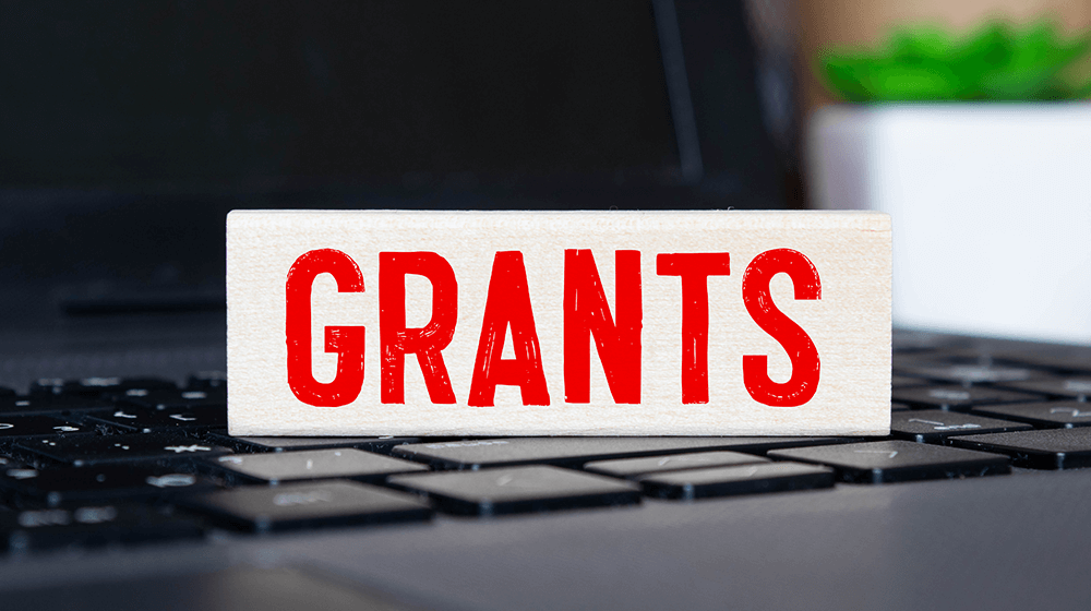 Top 20 Grants in Nigeria; Requirements and How to Apply