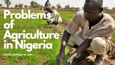 10 Problems of Agriculture in Nigeria with examples