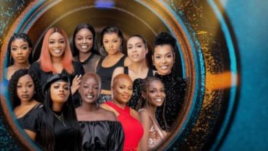 BBNaija Season 6 female housemates and their pictures and profiles