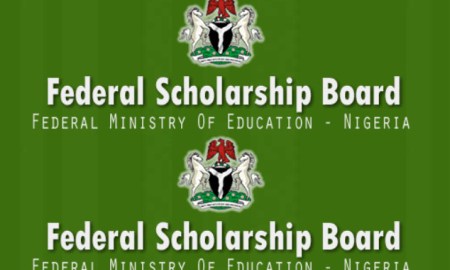 Federal Government of Nigeria Scholarship Application