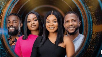 4 BBNaija New Housemates Profiles, Biography and Pictures