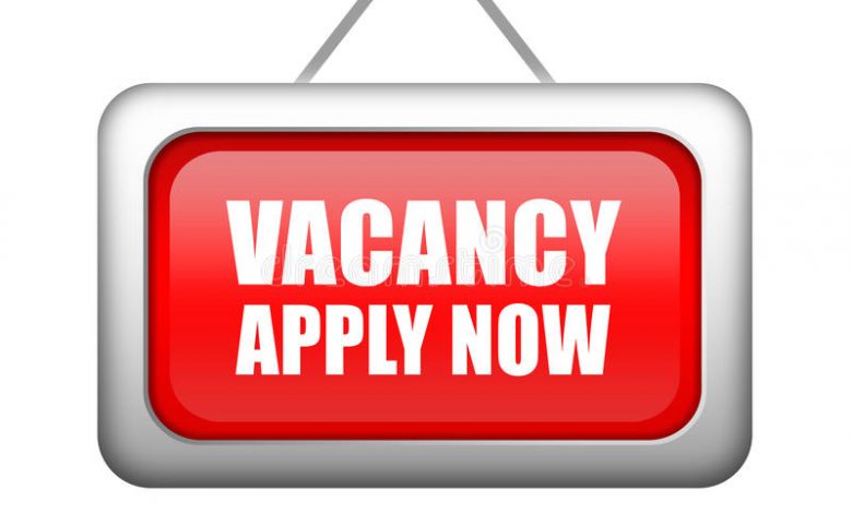Elizade University Job Recruitment