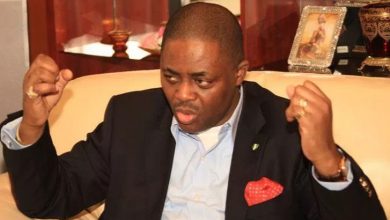 Fani-Kayode apologises for coup claims after DSS grilling