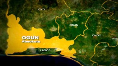 Homosexual arrested for sodomising, killing five-year-old in Ogun