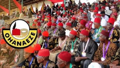 Ohaneze Ndigbo Charges Government To Release Nnamdi Kanu