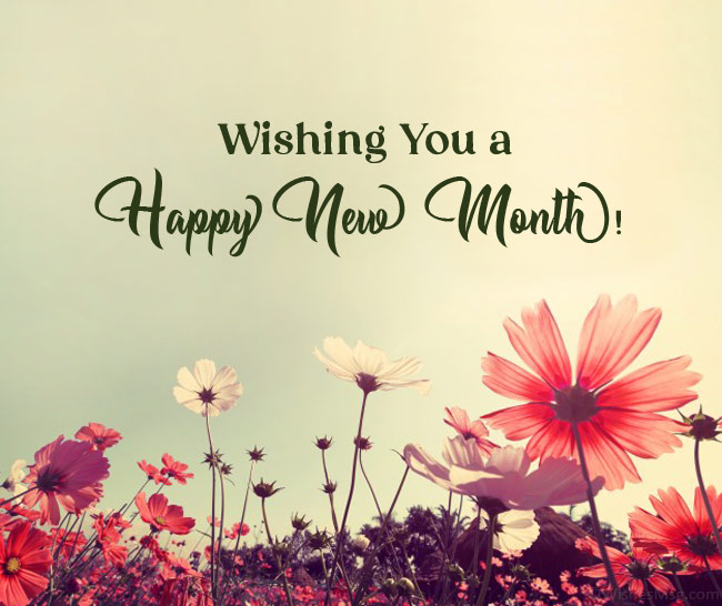 500+ Lovely New Month Messages for your Love ones August 2023