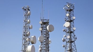 Telecoms contribution to GDP increases by 10%