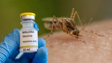 Nigerian lawmakers want malaria vaccines manufactured locally