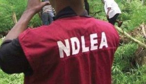 NDLEA recruitment closing date 2023