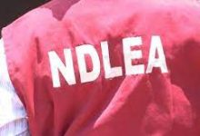 Pictorial: NDLEA recovers N8.8bn worth of tramadol