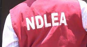 Pictorial: NDLEA recovers N8.8bn worth of tramadol