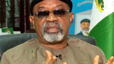 Why I can’t support any presidential candidate —Ngige