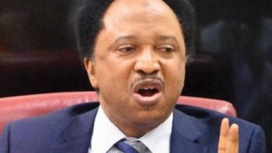 Five Terrorist Groups Now Fighting For Blood Of Innocent Citizens – Shehu Sani