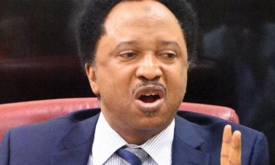 Five Terrorist Groups Now Fighting For Blood Of Innocent Citizens – Shehu Sani