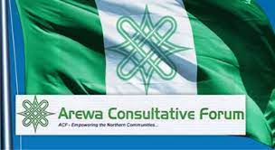 Arewa Youths Group Rejects Shettima As Patron Over Vulgar Comment On Obi