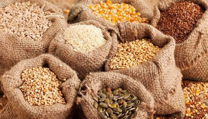 Nigeria Supplies 50% Of Seeds Used In West Africa – NASC DG