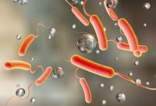 LG Tackles Cholera Outbreak with N23.5m in Katsina