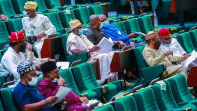 Reps to Tinubu: Respect court ruling, install FCT indigene as minister