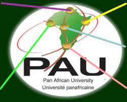 Pan African University Sabbatical Leave Placement Opportunity 