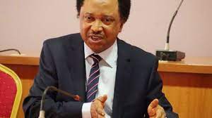 Shehu Sani Laments As Man Divorces Wife After Bandits Freed Her
