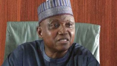 Reason Terrorists’ Location Can’t Be Bombed —Presidency