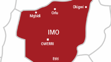 Kidnapped Imo wedding guest regains freedom