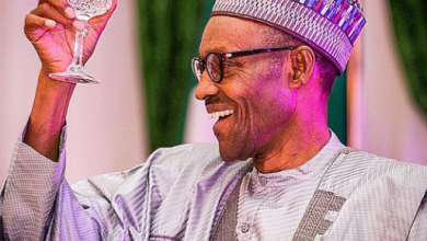 Buhari Has Done A Lot For Nigeria, We are Lucky To Have Him - APC Chairman