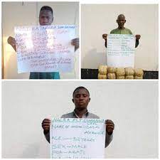 NDLEA Apprehends 3 Fake Security Personnel, Others With 427kg Drugs In Borno, Abuja