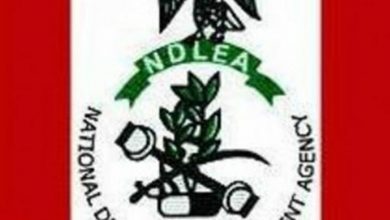 NDLEA destroys illicit drugs in Akwa Ibom