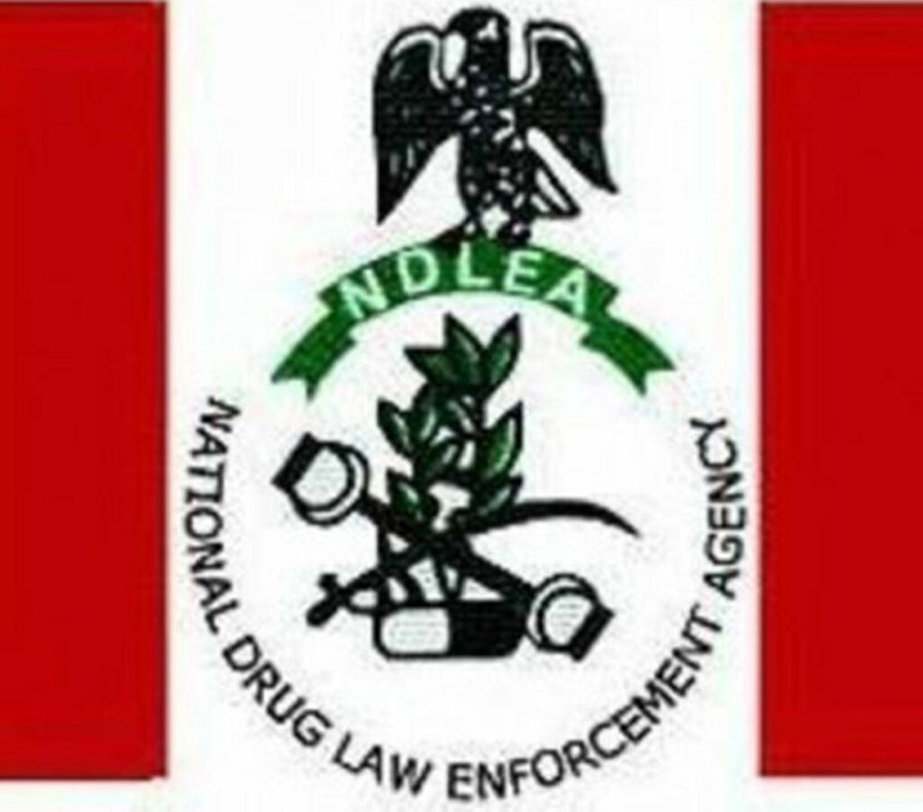  National Drug Law Enforcement Agency List of Successful Candidates