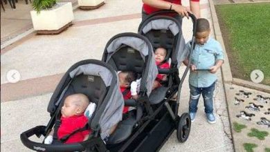 Court Halts Fani-Kayode’s Former Wife, From Commenting On Her Children