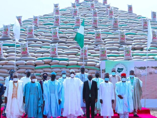 FG, Emefiele, Governors Elated As Local Rice Production Hits 9m MT