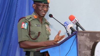 We Are Progressing Whole Of Society Approach – Gen Irabor