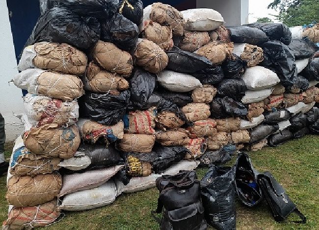 Lagosians Consume Over 100 Bags Of Indian Hemp Daily – Report