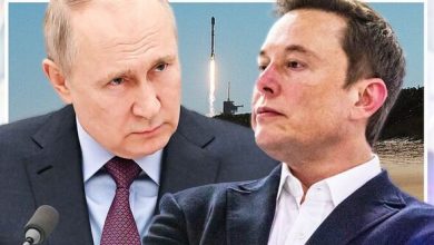 Elon Musk Slams Vladimir Putin To A Fight For Ukraine