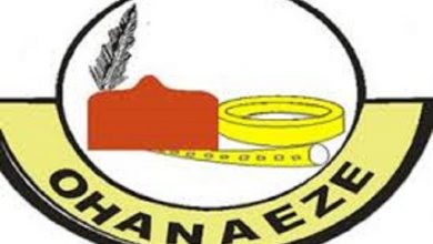 IPOB: Release Nnamdi Kanu, Igbo Youths In Custody, Ohanaeze To Buhari