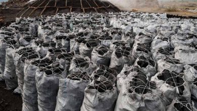 Kogi Government Bars Manufacturing Of Charcoal