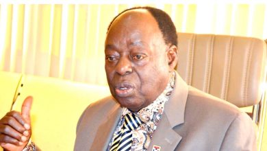  Suspend 2023 Elections, Appoint Temporary Government- Afe Babalola Tells FG