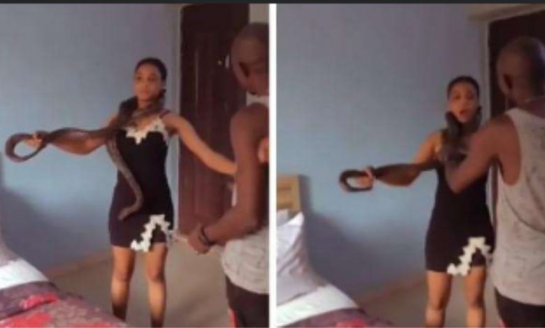 Nollywood Actress Flees As Big Snake Wraps Itself around Her Neck