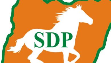 Imo SDP Chieftains Fights, Suspend Congress