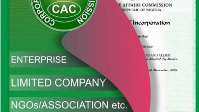 CAC Public Search 2022 See How to Confirm Nigerian Companies
