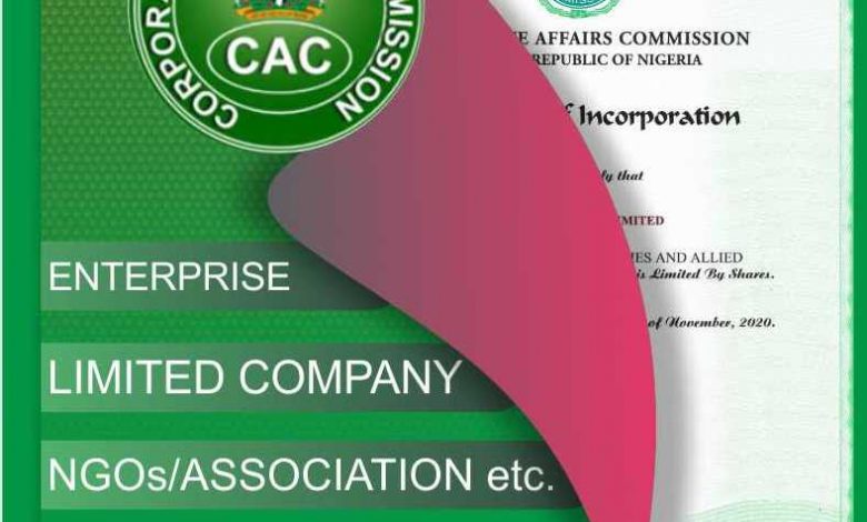 CAC Public Search 2022 See How to Confirm Nigerian Companies