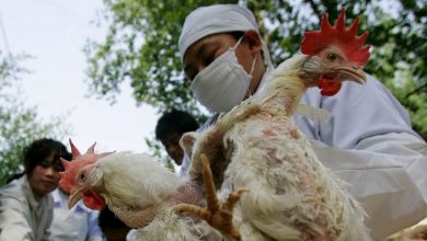 BREAKING: China Identifies First Human Case Of Bird Flu