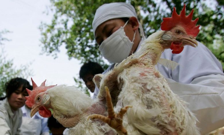 BREAKING: China Identifies First Human Case Of Bird Flu